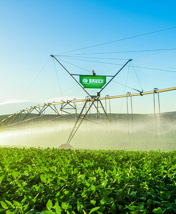 agrostar-impianti-bauer-1