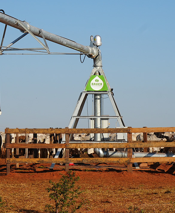 agrostar-plant-bauer-12