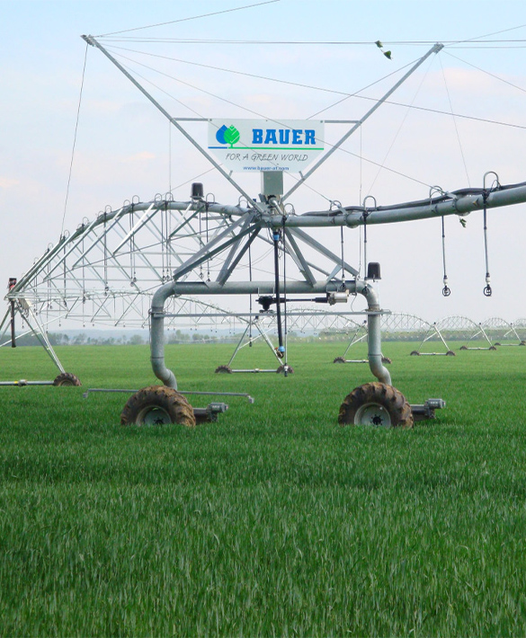 agrostar-plant-bauer-15