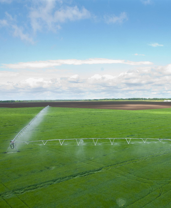 agrostar-plant-bauer-16