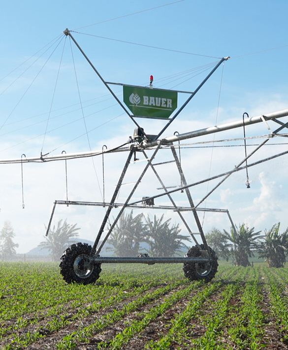 agrostar-plant-bauer-3